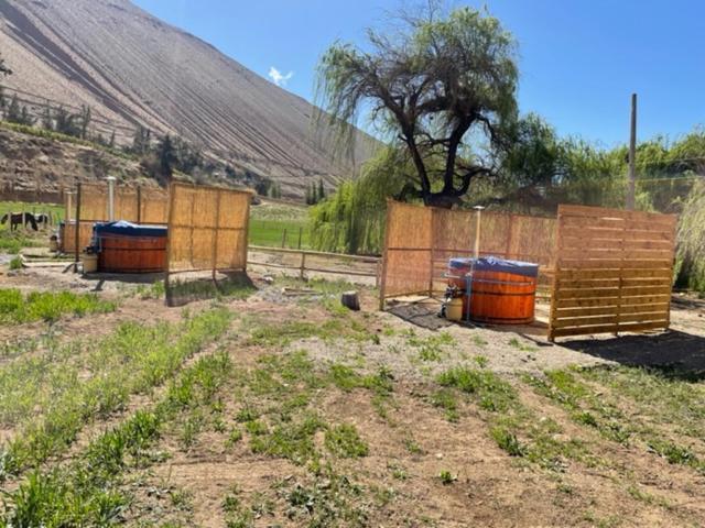 Glamping Miraflores Hotel Vicuna Exterior photo