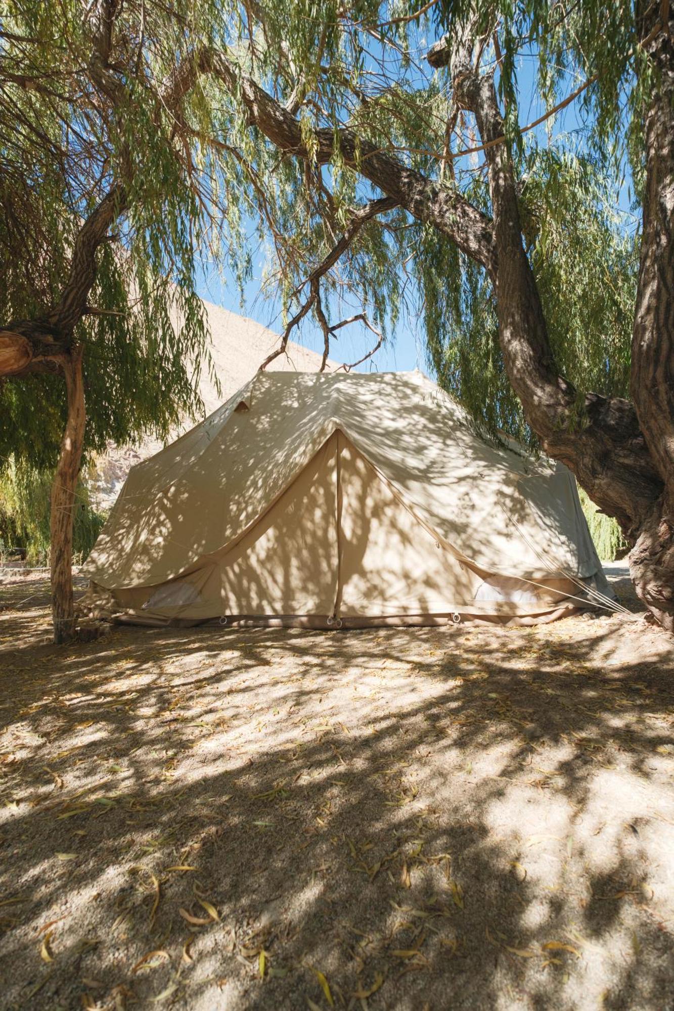 Glamping Miraflores Hotel Vicuna Exterior photo